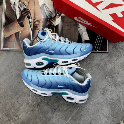 TRAINERS