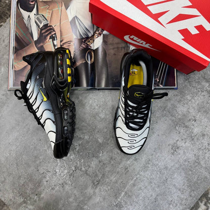 TRAINERS
