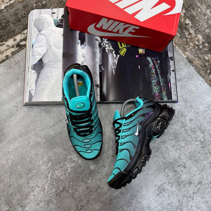 TRAINERS