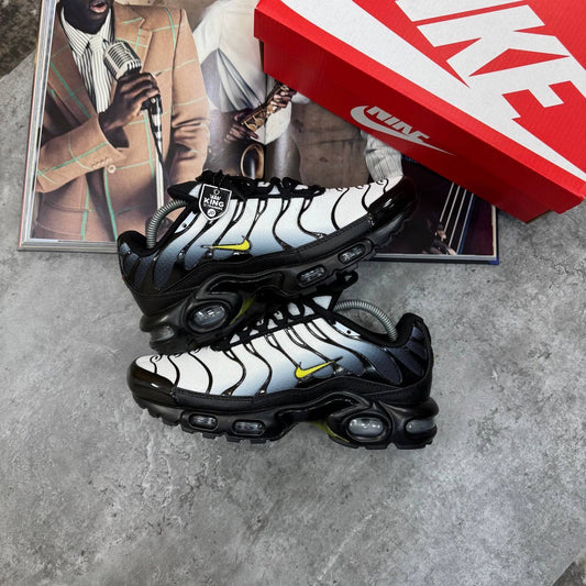 TRAINERS