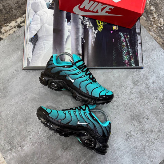TRAINERS
